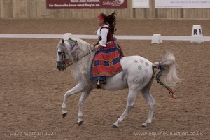 Lusitano Breed Society of Great Britain Show - Hartpury College - 27th June 2009